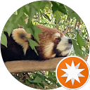 おさる profile picture