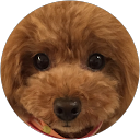 なつ profile picture