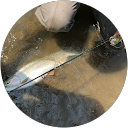 クワちゃん profile picture